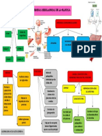 Hormonas Reguladoras de La Glucosa-Mapa Mental