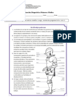 Prueba Diagnostico Primeros Medios