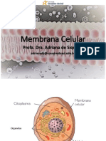 Aula 2 - Membrana Celular e Especializações de Membrana