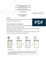 5° Semana FQ