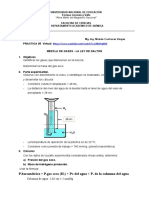 Práctica Virtual 05 - Mezcla de Gases-Dalton