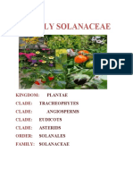 Family Solanaceae: Kingdom: Clade: Clade: Clade: Clade: Order: Family