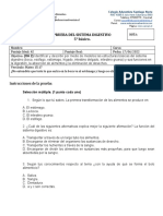 Prueba Del Sistema Digestivo 5°