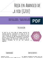 Virus de Hoja en Abanico de La Vid (GFLV) Presentación