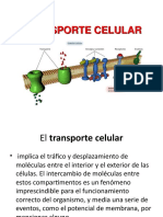 Tema 6 Transporte Celular