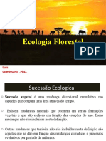 Ecologia Florestal Sucessão