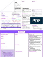 Ficha Editable - Libreto Consejera - MS