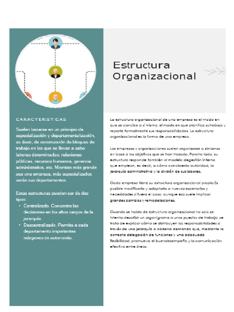 Tipos de Estructura Organizacional | PDF | Reclutamiento | Business