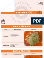 Fichas Tecnicas Estandarizacion