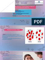 Trabajo de Investigacion LIDIA