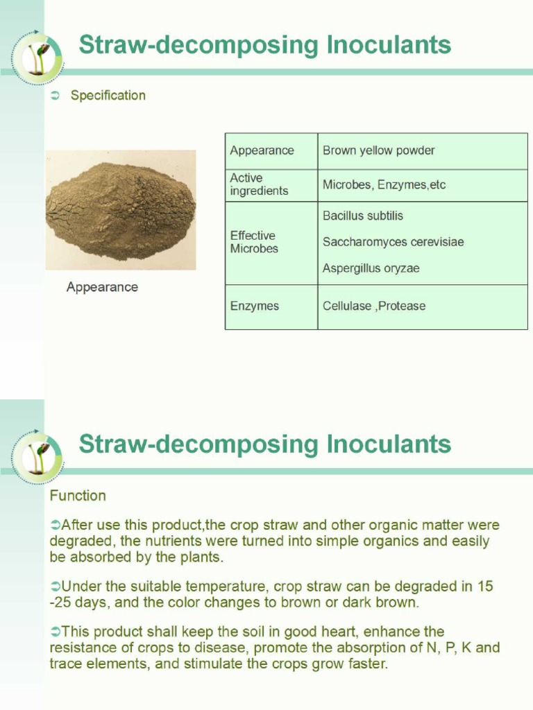 Straw Inoculants PDF