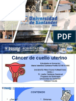 Cáncer de Cuello Uterino Revisión de Tema II