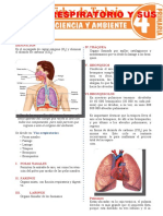 Aparato Respiratorio y Sus Partes para Cuarto Grado de Primaria