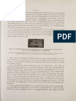 Posterior Inmediatamente Parte Posterior Parte Posterior: Cuadrigéminos, 14), Inferior