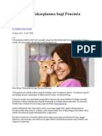 Kiat Bebas Toksoplasma Bagi Pencinta Kucing