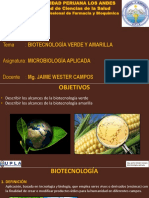 P10. - Biotecnología Verde y Amarilla