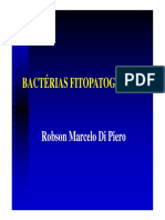 Bacterias parte I
