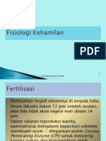 Fisiologi Kehamilan-2