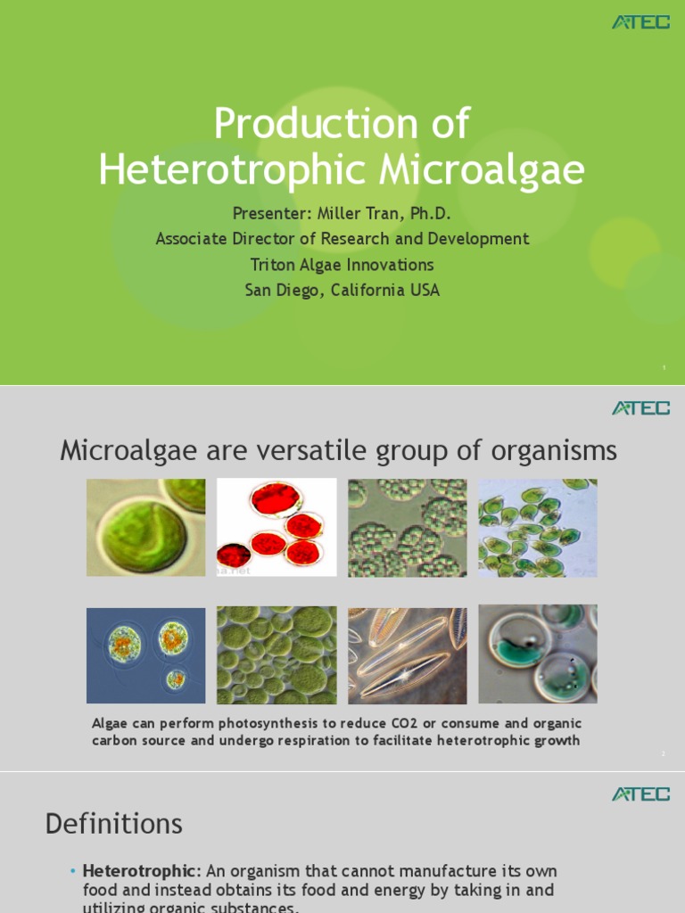 What Is Heterotrophic Microalgae? – DBKU
