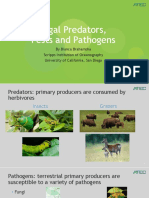 3-2 - Algal-Predators - Pests - And-Pathogens