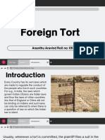 Private International Law: Understanding Foreign Torts (PILFT