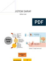 6 Sistem Saraf