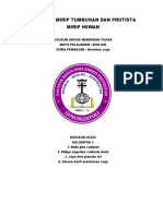 PROTISTA MIRIP TUMBUHAN DAN HEWAN