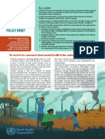 Mental Health and Climate Change: Policy Brief: Key Points