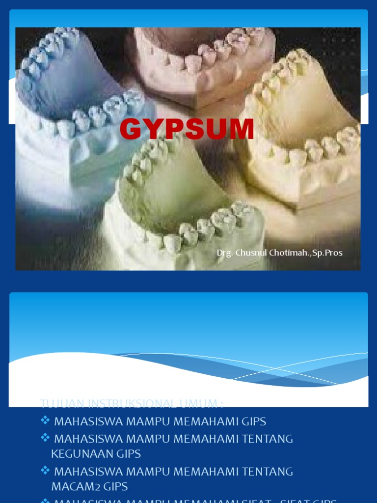 GIPS | PDF