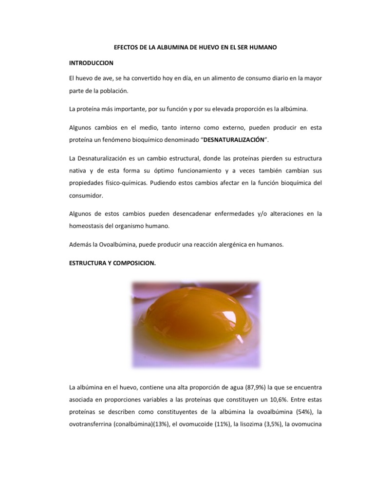 Efectos de La Albumina de Huevo en El Ser Humano Proteínas Alergia