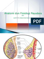 Anatomi Dan Fisiologi Payudara PR