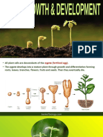15 Plant Growth N Development - PPSX (Autosaved)