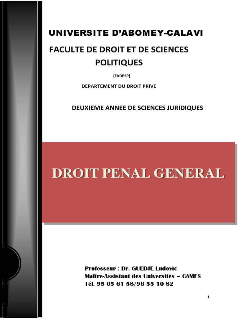 Droit pénal général et infractions | PDF | Loi criminelle | Crimes