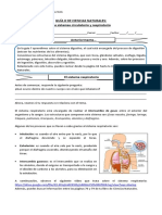 Actividades Sistema Respiratorio y Circulatorio