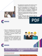 M1-02 Comité de Seguridad y Salud en El Trabajo - Page16