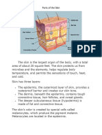 Parts of the Skin