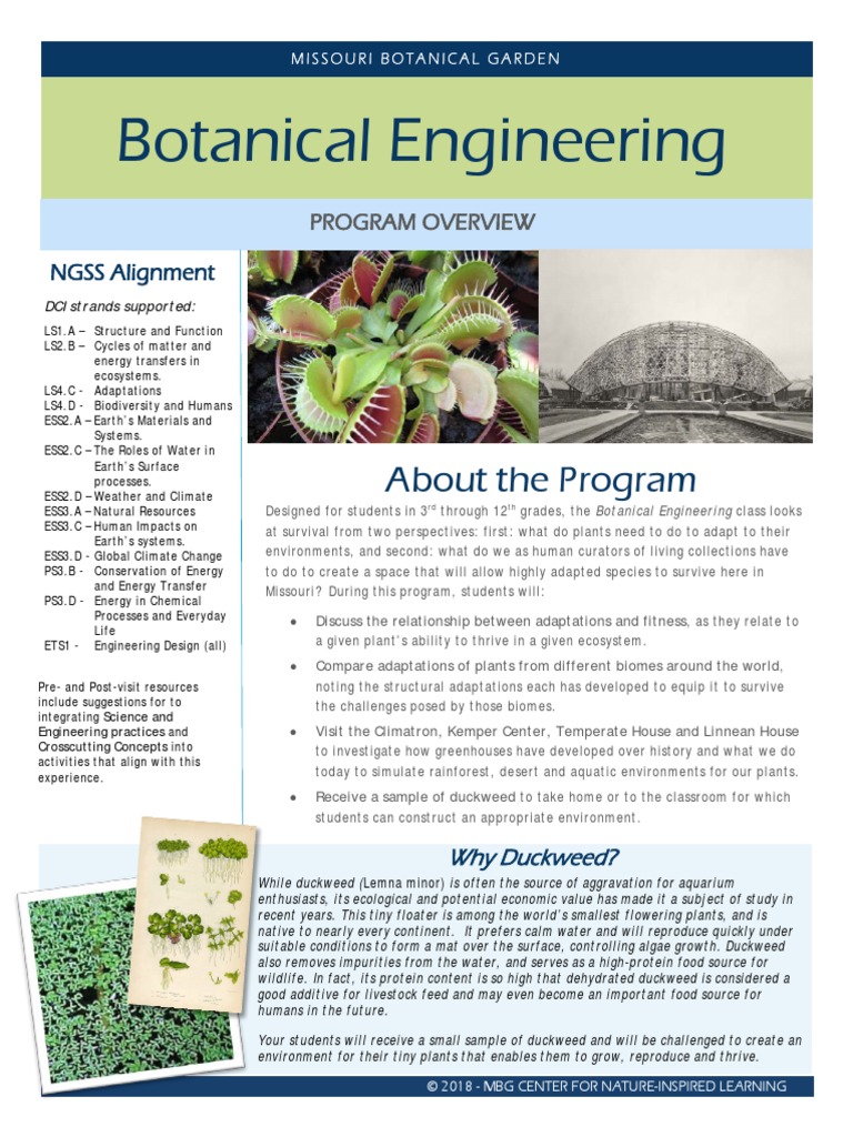 Botanical EngineeringOverview For Teachers PDF Ecosystem Botany