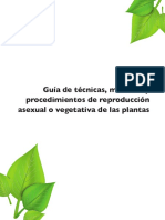 Guía de técnicas de reproducción asexual en plantas
