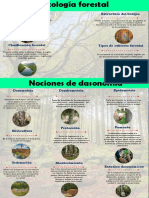 Forestal