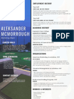 Aleksander Mcmorrough: Employment History