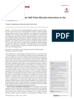 3D Plant-Microbe Interactions in The Rhizosphere