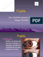 Características de la pupila y sus reflejos