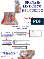 Drenaje Linfático Del Cuello