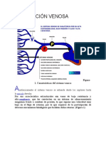 Circulación Venosa