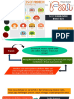 Metabolisme Protein