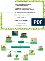 Causas y Consecuencias de La Deforestación