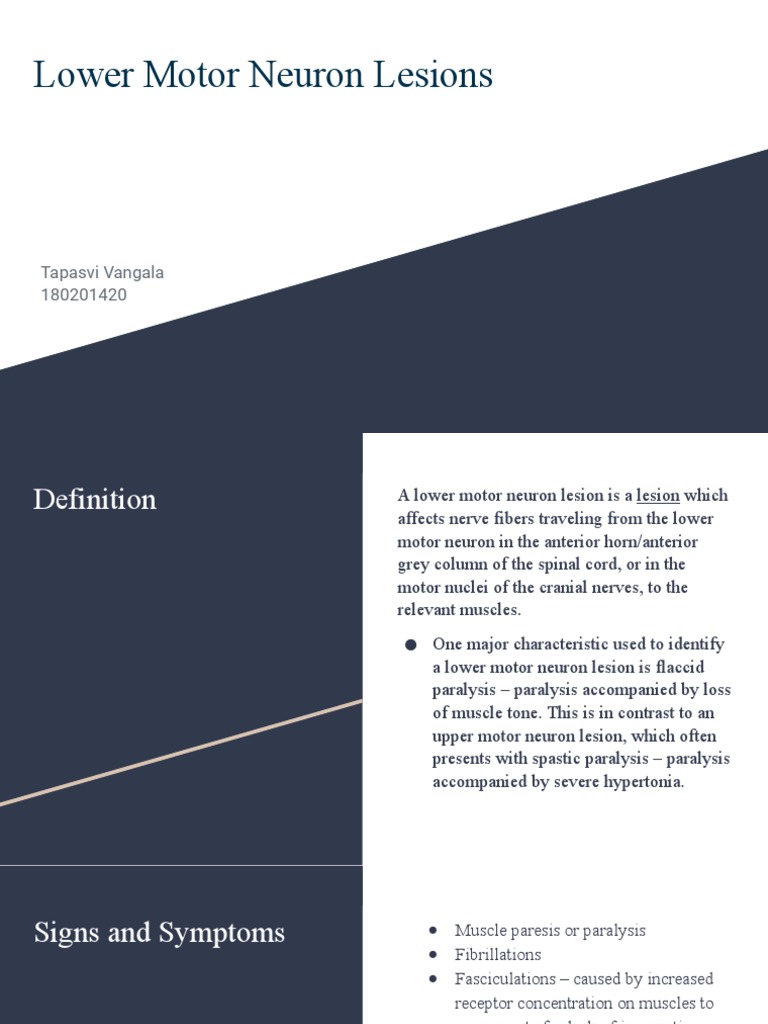 Lower Motor Neuron Lesions1 PDF Nerve Diseases And Disorders