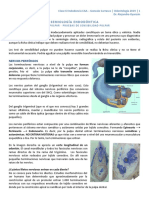 06 - CAA - ENDO - Test de Sensibilidad y Vitalidad Pulpar