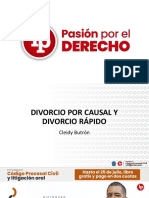 Divorcio Por Causal y Divorcio Rápido PDF Gratis