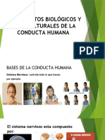 Fundamentos Biológicos y Socioculturales de La Conducta Humana 3